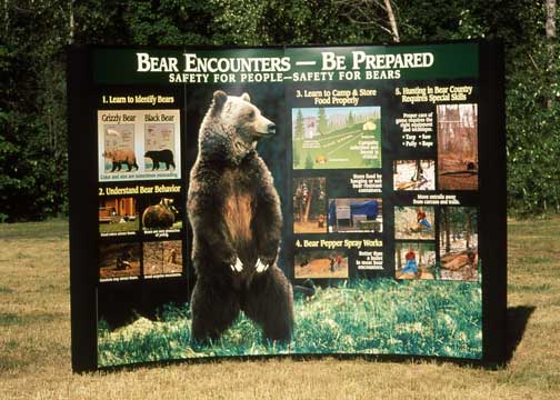 Big-Bear-Display_Jackson_2