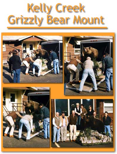 Kelly-Creek-grizzly-bear-mo