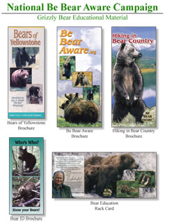 Grizzly_Bear_Products-2