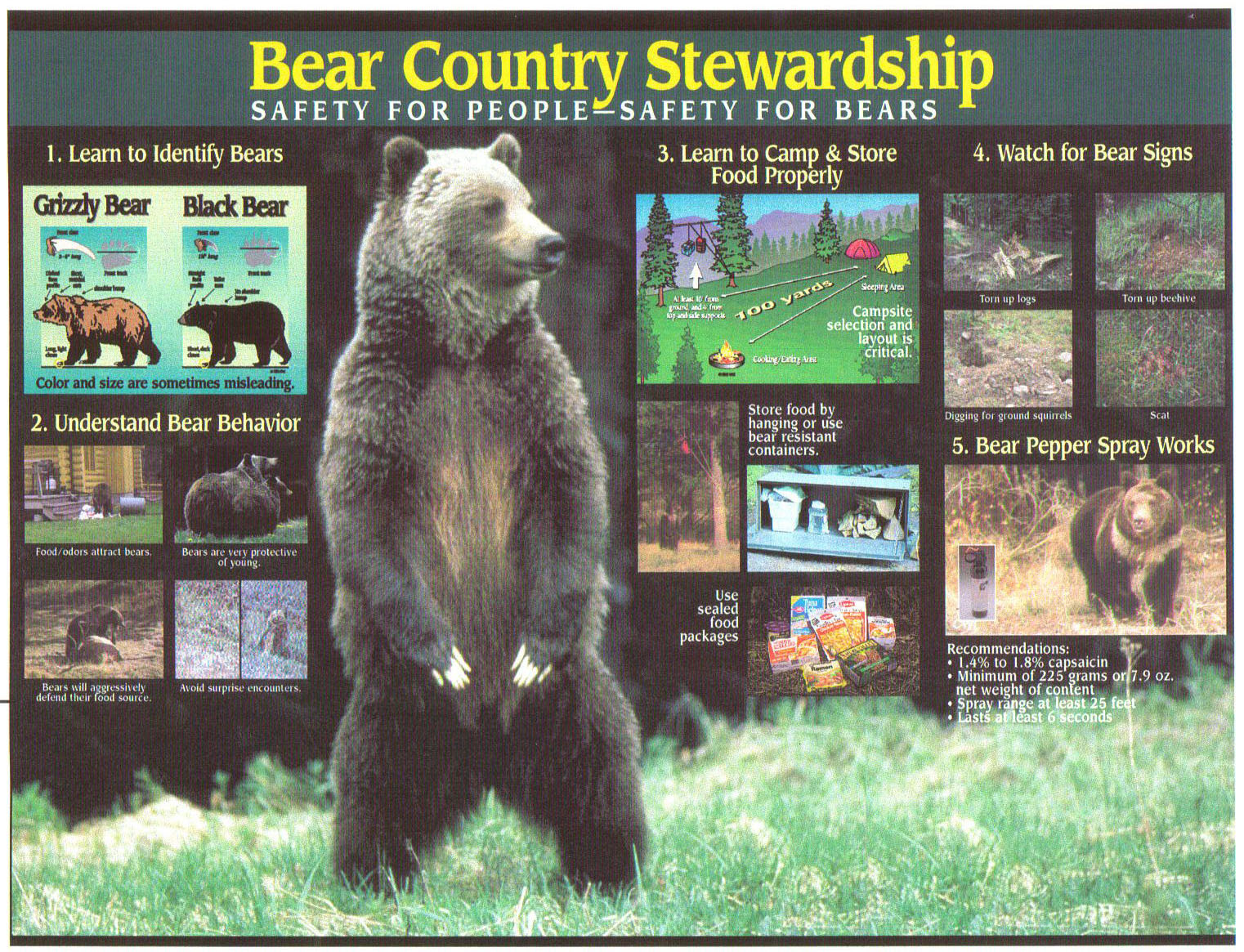 Encounter Behavior & Myths (Be Bear Aware) - IGBC