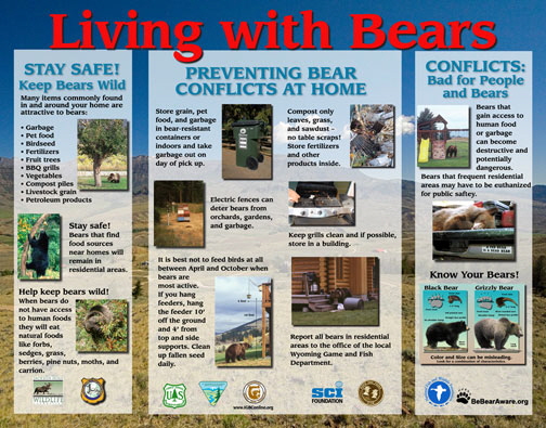 Living_With_Bears_Display