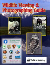 Wildlife_Viewing-Photograph_Guide-1