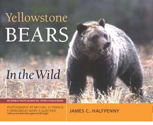 yellowstone-bears-cover-JPG